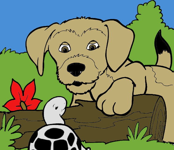 Dog and Turtle