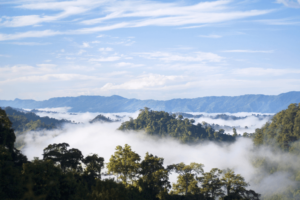 পার্বত্য চট্টগ্রাম ভূমি বিরোধ ও নিষ্পত্তি